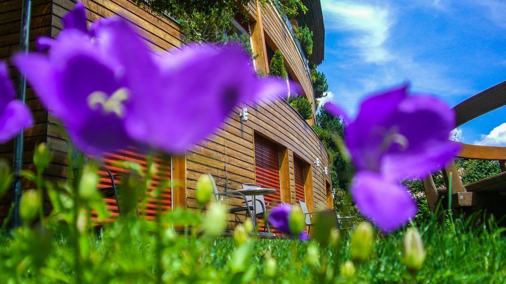 Hotel Sonnenheim Бад Кляйнкирххайм Экстерьер фото